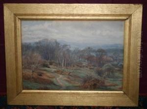 Hampstead Heath Looking Over Toharrow-on-the-hill