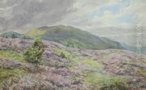 Heather On The Moor Near Polchar, Aviemore by Gertrude Martineau