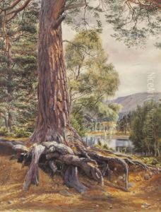 A River Landscape With A Conifer In The Foreground by Gertrude Martineau