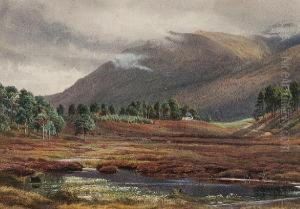 Gleaning Weather By The Grampians