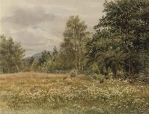 Wild Flowers In A Meadow, Thought To Be Near Aviemore by Gertrude Martineau
