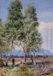 Silver Birches Ataviemore, Scotland by Gertrude Martineau