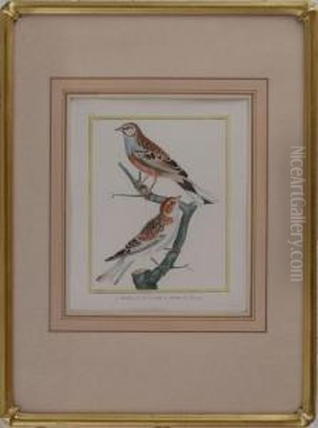 Nine Bird Prints - view 1