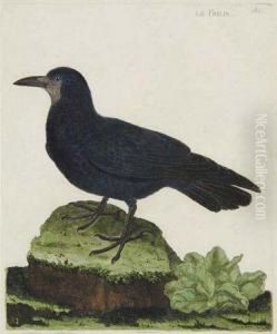 Le Freux by Francois Nicolas Martinet