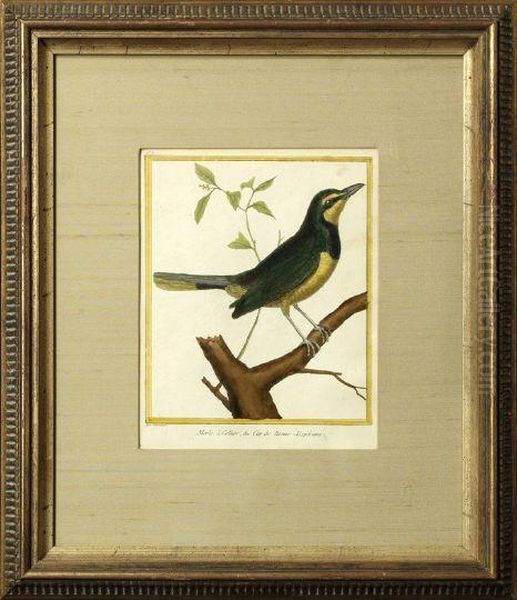 Merle A Collier - view 1