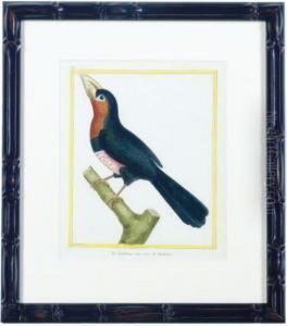 Birds by Francois Nicolas Martinet