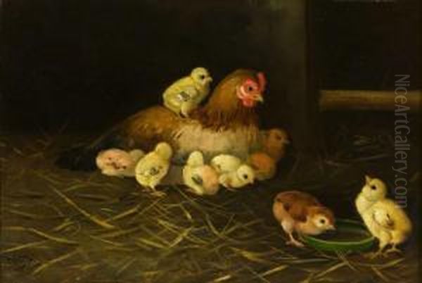 "gallina Con Sus Polluelos" - view 1