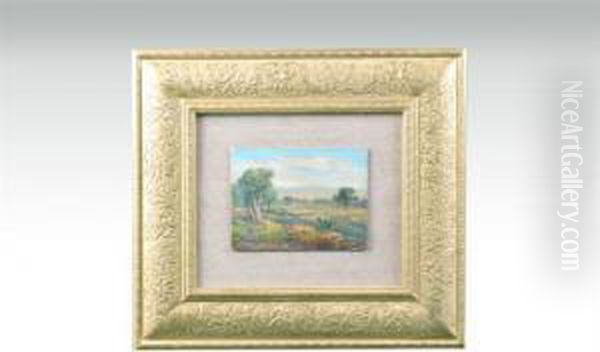 Paisaje - view 1