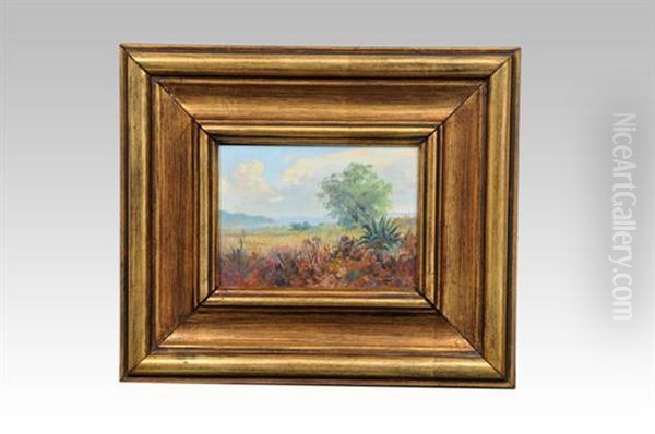 "paisaje". - view 1