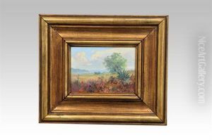 "paisaje".