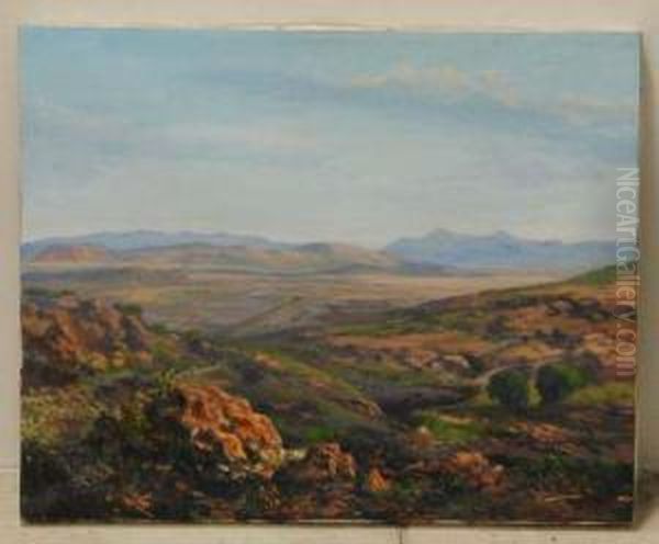 Paisaje - view 1