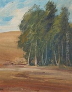 A Grove Of Windswept Trees by Xavier Martinez