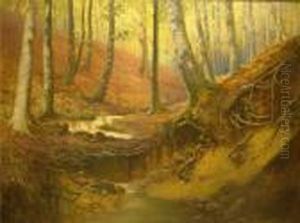 Herbstlicher Waldbach by Max Martini