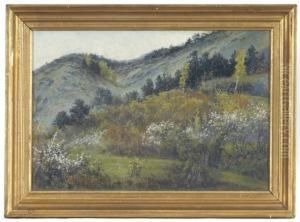 Fruhling Im Mittelgebirge by Max Martini