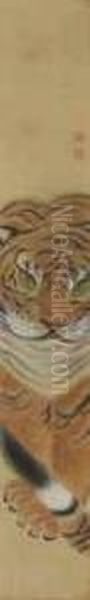 Tiger - view 1