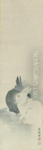 Rabbits - view 1
