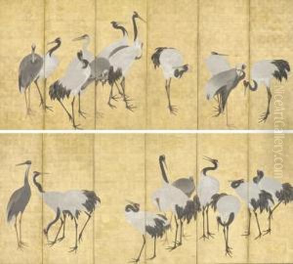 Cranes - view 1