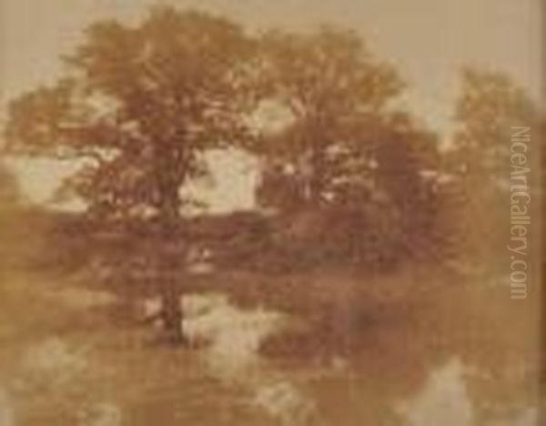 Mare Et Arbres En Foret De Fontainebleau - view 1