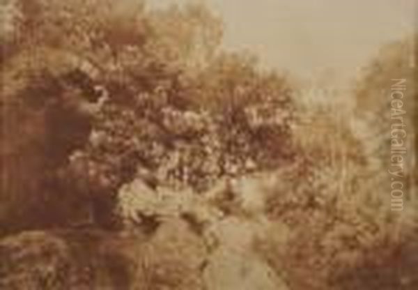 Etude D'arbres Et Rochers En Foret De Fontainebleau - view 1