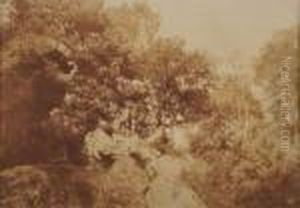 Etude D'arbres Et Rochers En Foret De Fontainebleau by Charles Marville