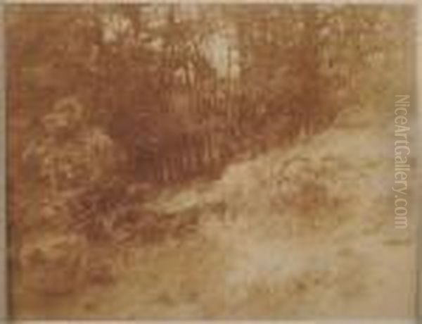 Etude D'arbres En Foret De Fontainebleau - view 1