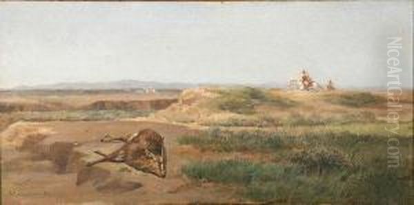 Nel Deserto - view 1