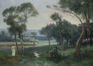 Landschaft In Algier