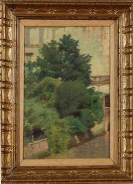 Alberi - view 1