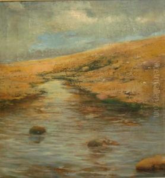 Paisaje - view 1