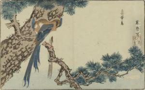 Pair Of Birds by Kitao Masayoshi