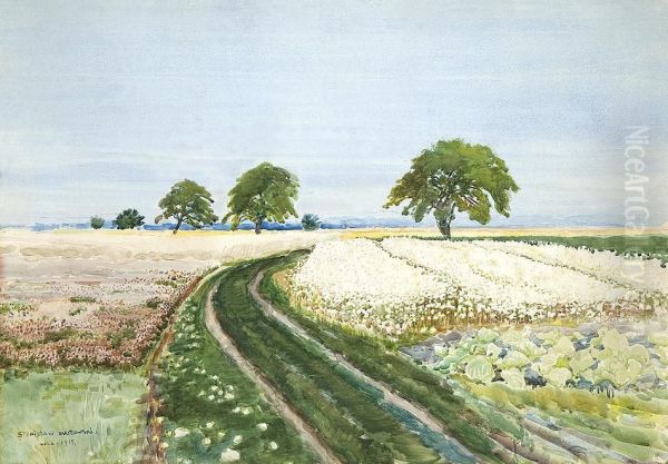 Summer, Country Landscape - view 1
