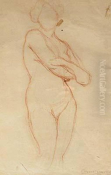 Desnudo Femenino.
 Sanguina Sobre Papel. - view 1