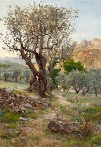 Olivos De Llavaneras