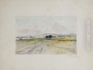 Paisaje