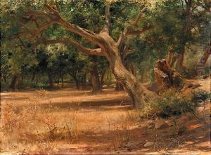 Paisaje Boscoso by Francisco Masriera y Manovens