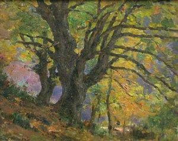 Woodland Scene - view 1