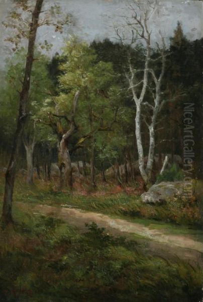 Barbizon Forest With Birch Tree - view 1