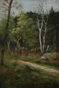 Barbizon Forest With Birch Tree by Alphonse Charles Masson