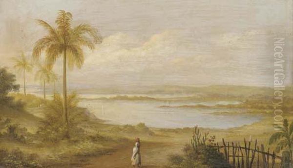 The Lagoons, Asuncion Del Paraguay - view 1