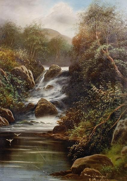 Near Bettws; Near Llanrwst - view 1