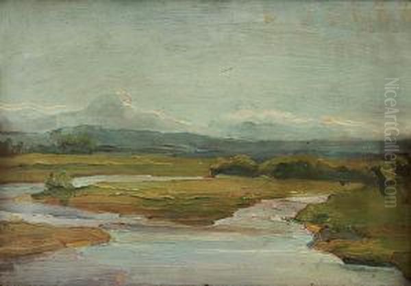 Widok Znad Prutu - view 1