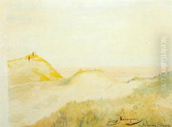 Zamglone Diuny - view 1