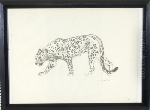 Leopard - view 1