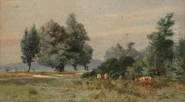 Landscape - view 1