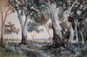 Lakes And Gums by John Robert Mather
