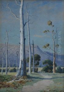 Gum Tree In Sunlight by John Robert Mather