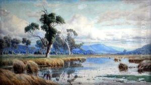 headwaters Of Theyarra by John Robert Mather