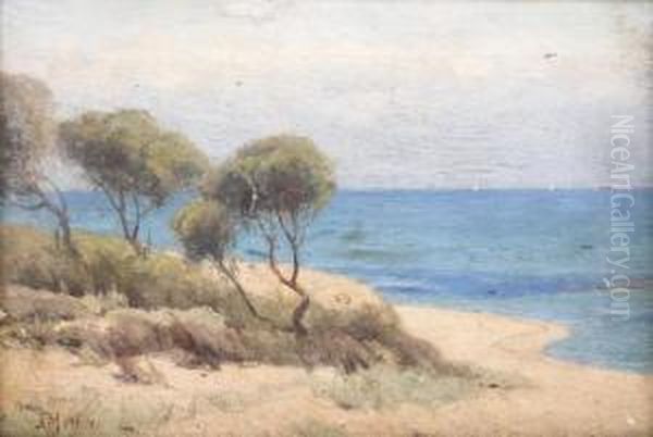 Coastal Scene - view 1