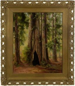 In Muir Woods. by Anna Elizabeth Mathews Doty