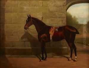 A Chestnut Race Horse In A Courtyard